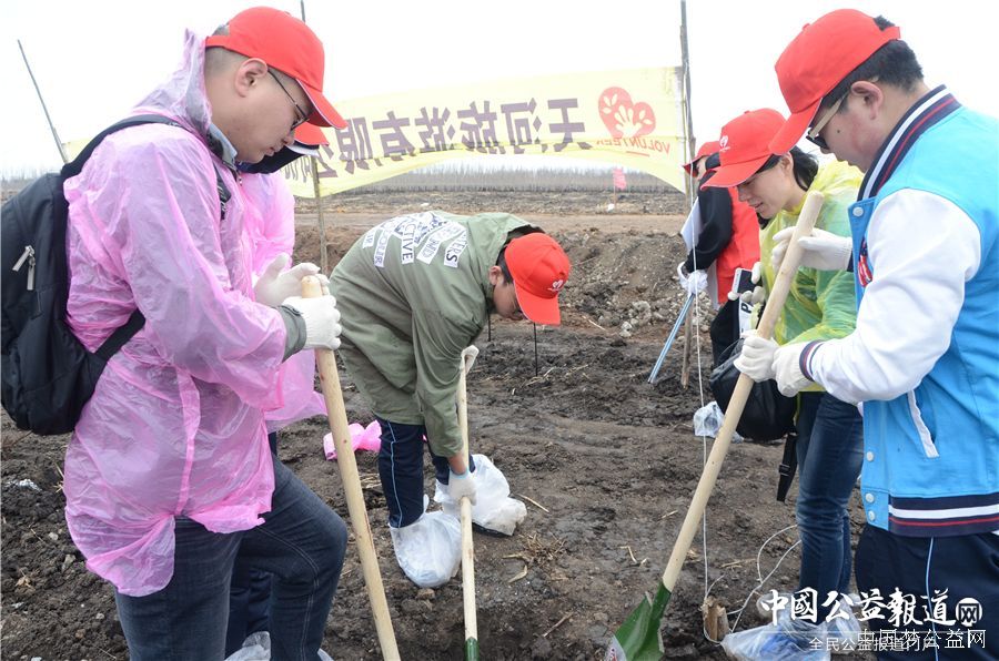 中欧(中国)圆满完成“保护青山绿水_共建大美龙江”千人公益植树志愿服务工作