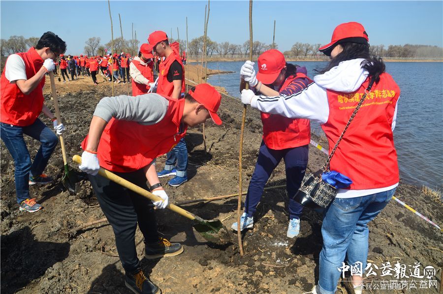 中欧(中国)圆满完成“保护青山绿水_共建大美龙江”千人公益植树志愿服务工作
